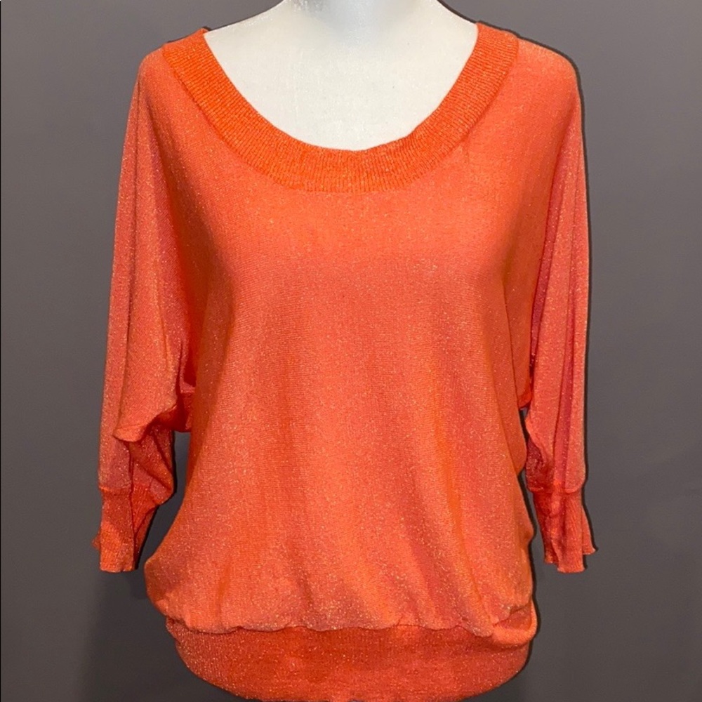 Express Shimmery Sweater